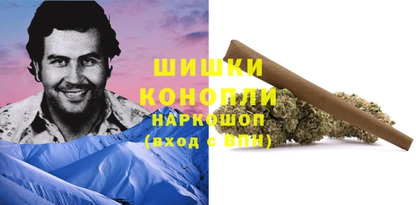 прущая мука Богданович