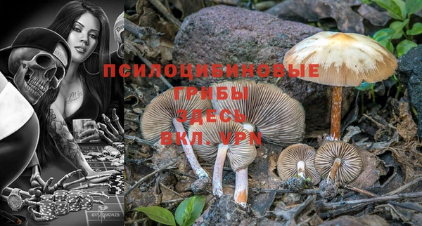 прущая мука Богданович