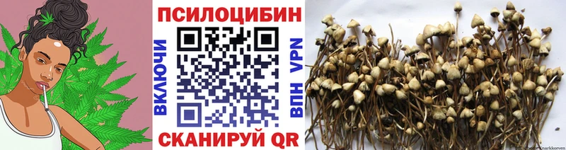 наркотики  Ува  Псилоцибиновые грибы Cubensis 